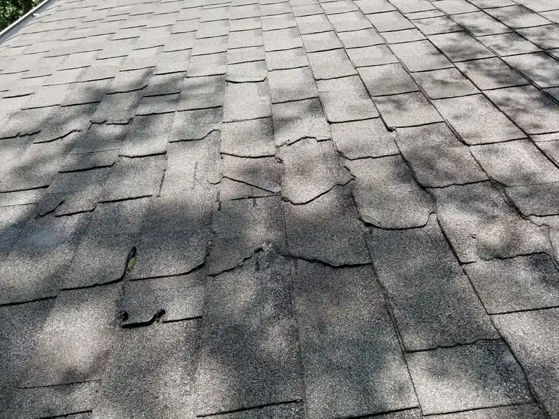 Close-up of worn, cracked asphalt shingles with tree shadows across them.