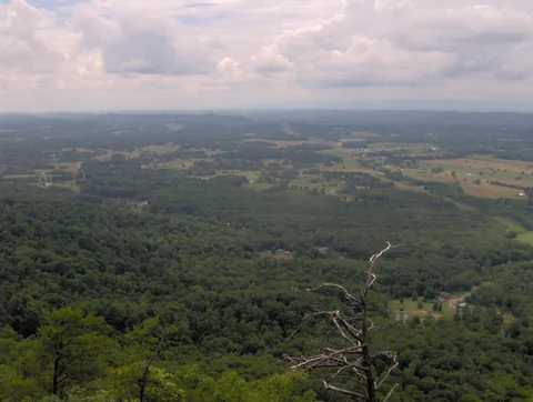 Wooded hills and farmland under a cloudy sky in East Tennessee, with a bare snag at lower right.
