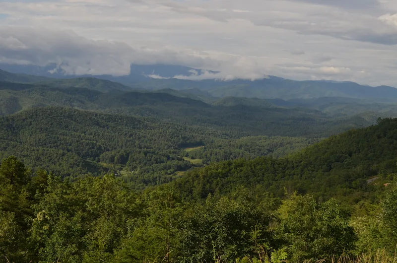 Forested Smoky Mountain ridgelines under low cloud, seen from a Foothills Parkway overlook.