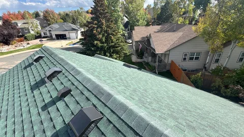Green shingle roof with a row of black roof vents above a tree-lined residential street.