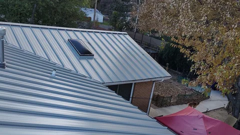 Gray ribbed metal roof with a flat skylight and a vent pipe above a backyard patio.
