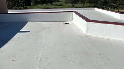 White membrane flat roof with a raised parapet and red coping beside green trees and grass.