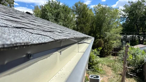 Gray gutter with hidden hangers along a shingle roof edge above a backyard with trees.
